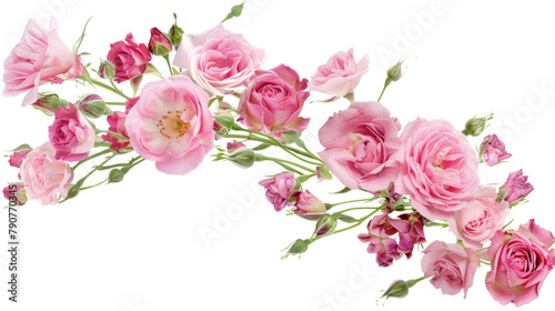 Pink roses © PNG Kingdom 
