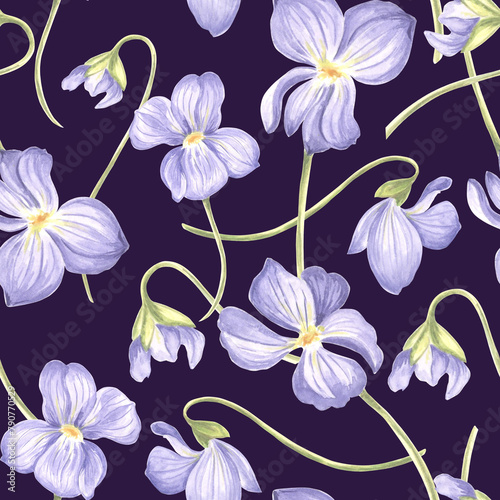 Flowers Violet Seamless pattern Dark background. Watercolor garden pansy. Hand drawn illustration spring blossom. Meadow wild Viola. Botanical template for wallpaper, scrapbooking, wrapping, textile.