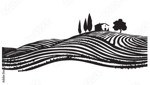 Vineyard landscape, Sketch, hand drawn illustrations.