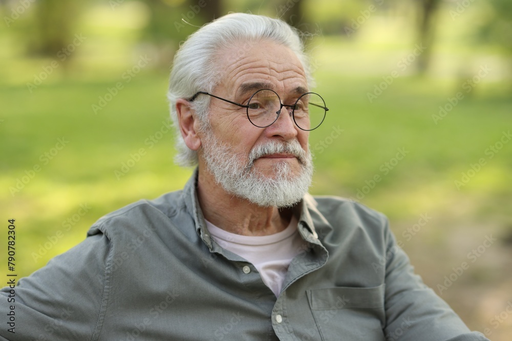 Portrait of happy grandpa with glasses in park Portrait of happy grandpa with glasses in park