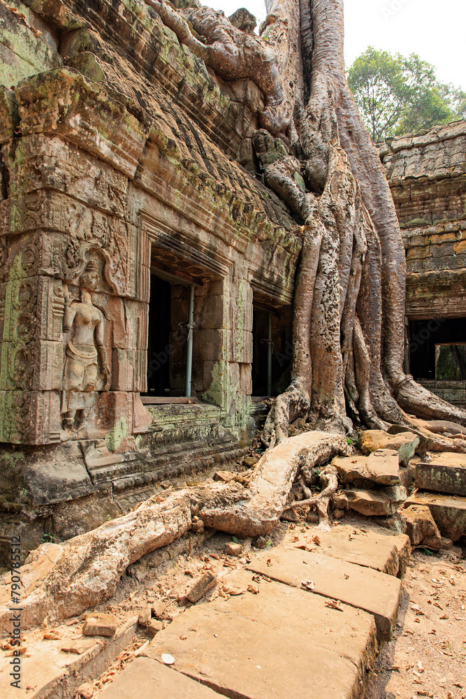 Ta Prohm Ta Prohm