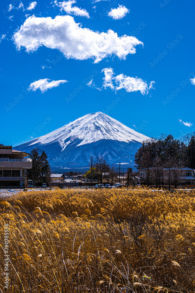 Mount Fuji view from Yagizaki Park, Japan