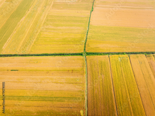 Aerial view of ripe wheat fields on the farm. autumn harvest season. High angle view.