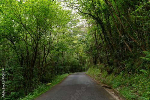 Road to La Cuevona cave. Cuevas. Ribadesella. Asturias