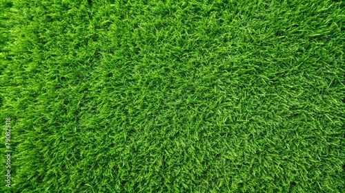 Natural green grass background texture