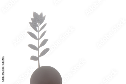 Top view of shadow of Zamioculcas plant on white background. Minimalism style. Silhouette of a plant on a white background. Conceptual image of a plant branch growing on a sphere.