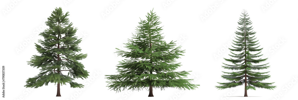 set of pine trees, towering and grand, isolated on transparent background set of pine trees, towering and grand, isolated on transparent background