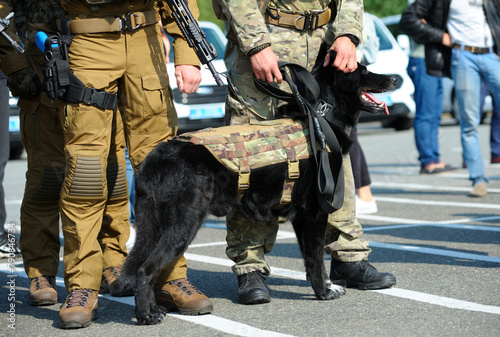 Soldiers of KORD police special forces, and police dog standing in the line on the military ground. Kyiv, Ukraine
