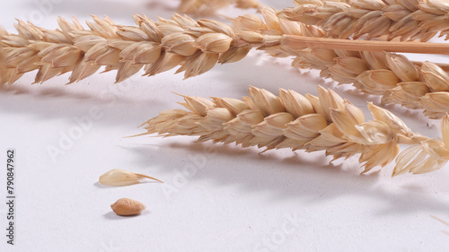 Primo piano di spighe di grano