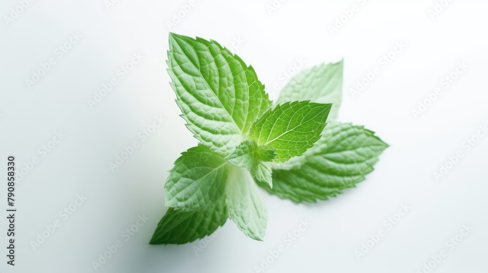 Green mint leaves on a white background. AI generated. Green mint leaves on a white background. AI generated.