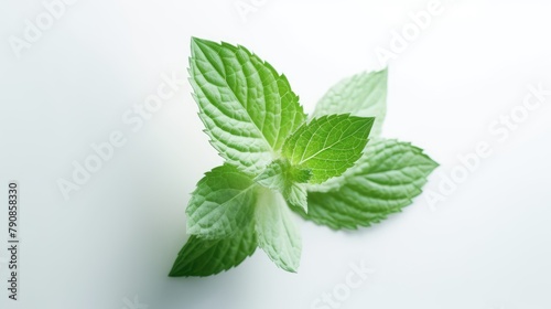 Green mint leaves on a white background. AI generated.