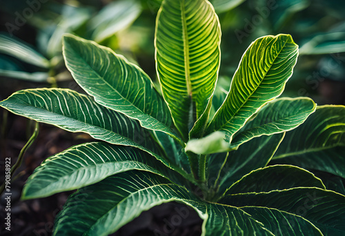 close up of a green leaf