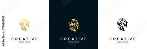 head lion line art logo photo