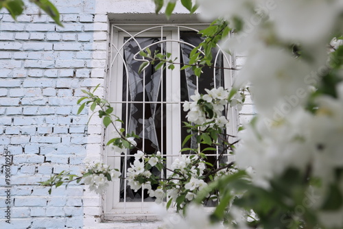 Broken window in the house at spring blooming. War in Ukraine.
