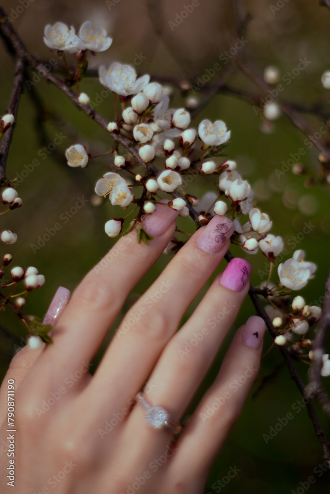 Spring flowers