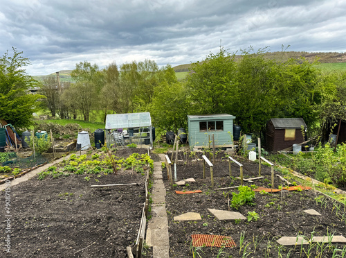 Φωτογραφία Verdant garden plots with young plants are neatly organized in allotments with g