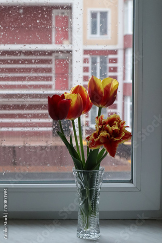 Colorful tulips in vase on the windowsill at rainy weather. Home decor with flowers.