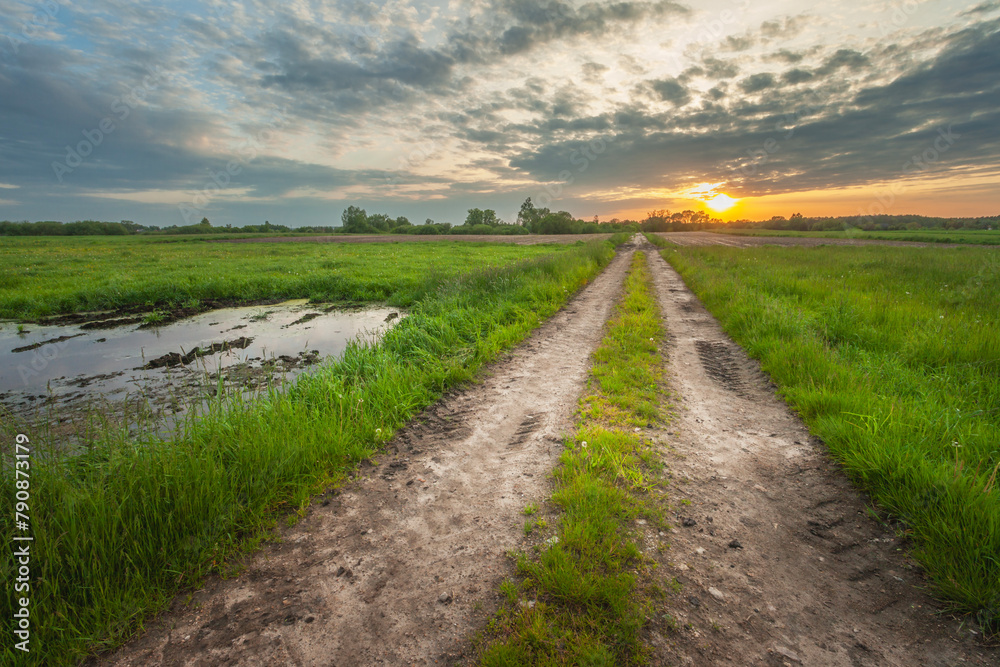 View of a dirt road through green wet meadows and sunset sky