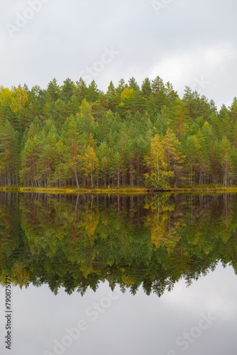 Reflections of the coniferous forest on a wilderness lake, calm cloudy day
