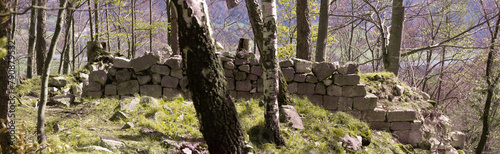 Ruine der Rachelburg im Inntal im Frühjahr im Wald