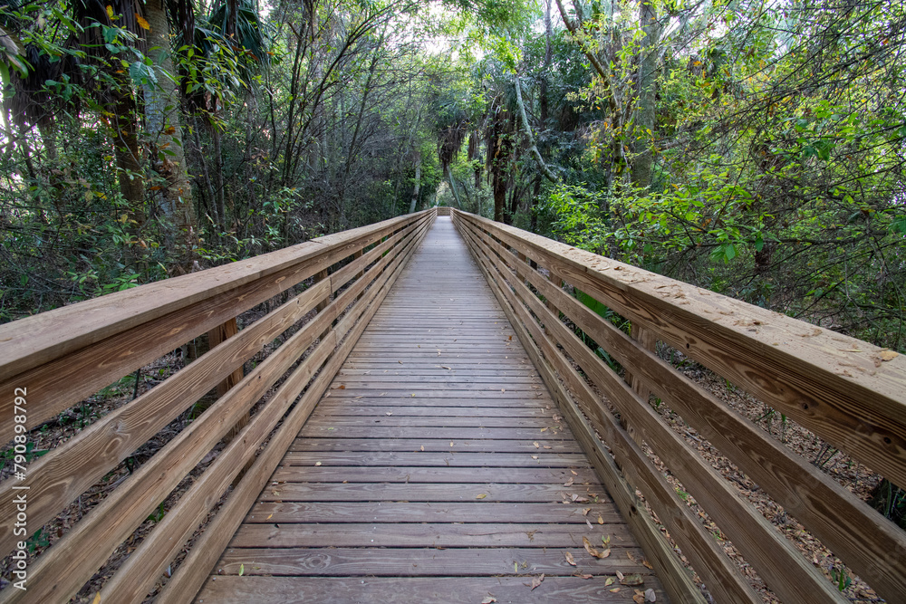 Boardwalk over constructed wetlands of Green Cay Nature Center in Boynton Beach, Florida in early morning light.. Boardwalk over constructed wetlands of Green Cay Nature Center in Boynton Beach, Florida in early morning light..