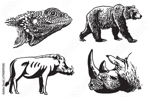 Graphical collection of African animals on white background  vector illustration