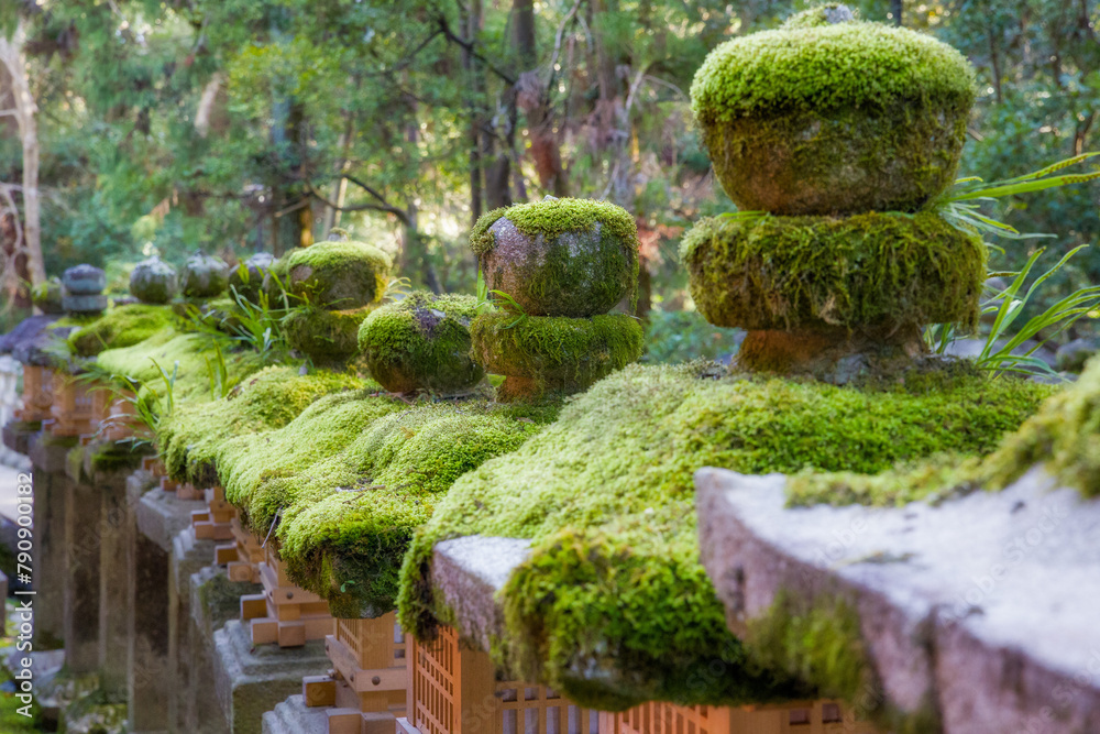 old japanese stone lanterns overgrown with moss in a row illuminated by the sun