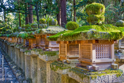 old japanese stone lanterns overgrown with moss in a row illuminated by the sun