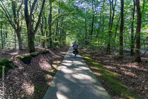 Enjoy a bike ride on beautiful cycle paths through the Speuldersbos near Putten, Netherlands