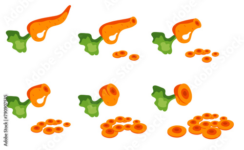 Cutting chopped carrot slice isolated set. Vector graphic design illustration element