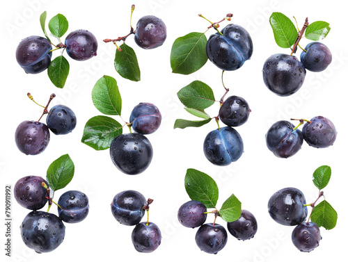 Set of branches of ripe black plums, dark and sweet