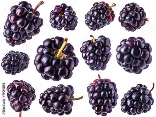 Set of branches of ripe blackberries  juicy and dark