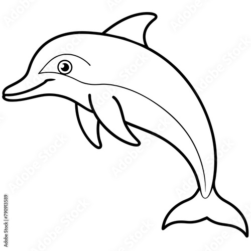 silhouette of a dolphin