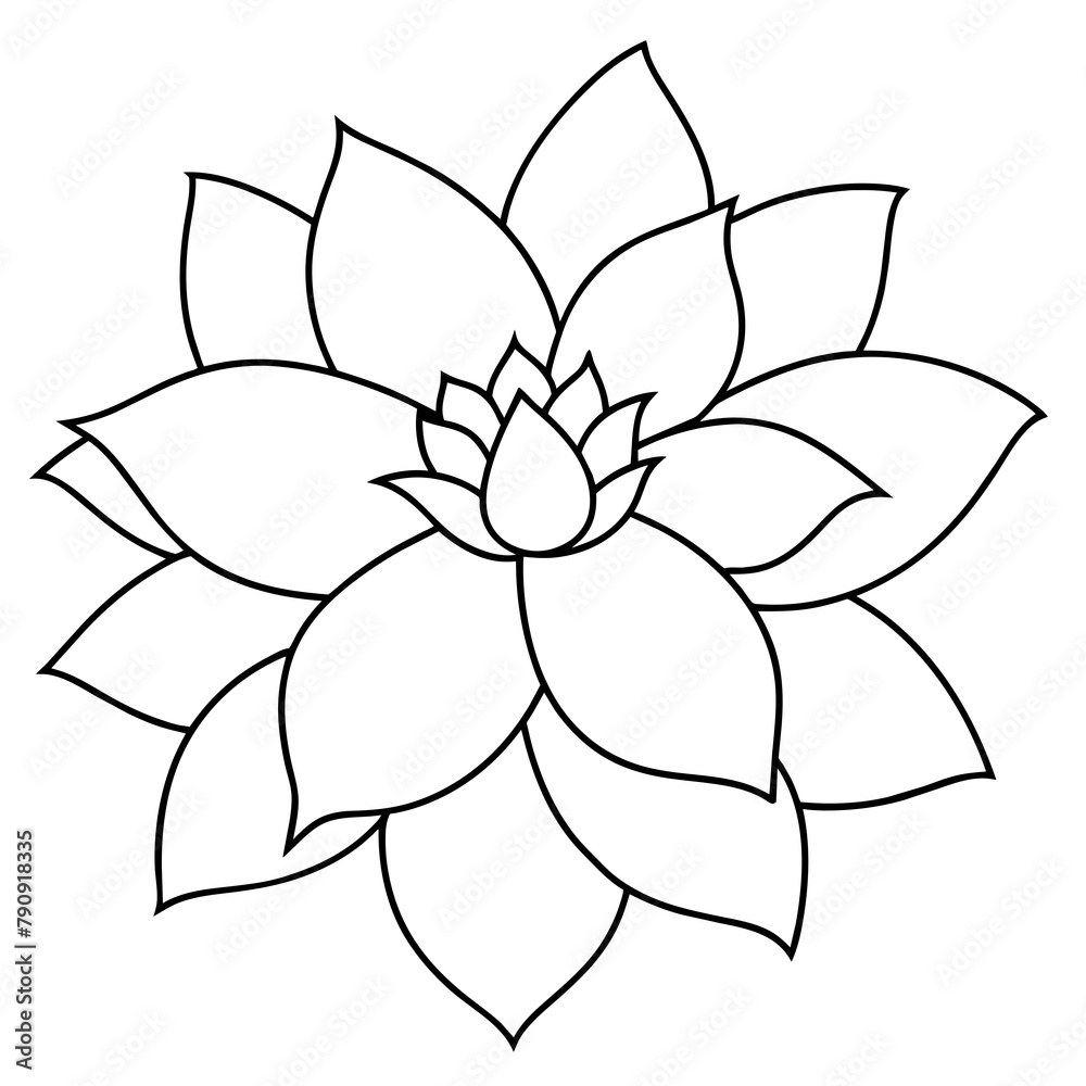 illustration of a flower illustration of a flower