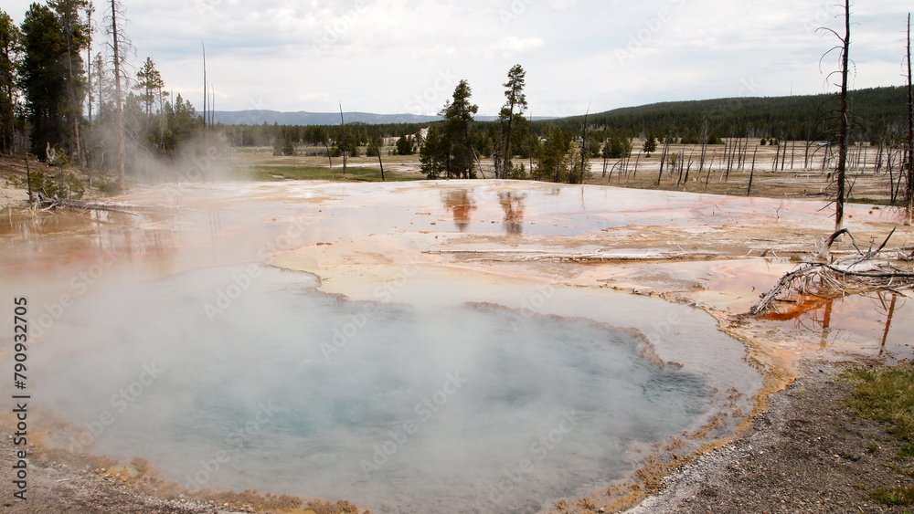 A hot and steamy geothermic springs in a park A hot and steamy geothermic springs in a park
