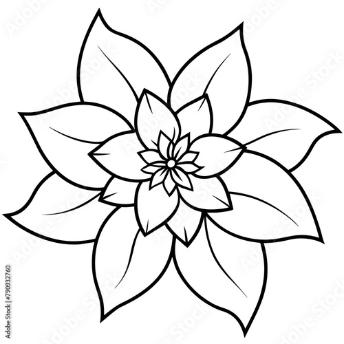 Black and white flower