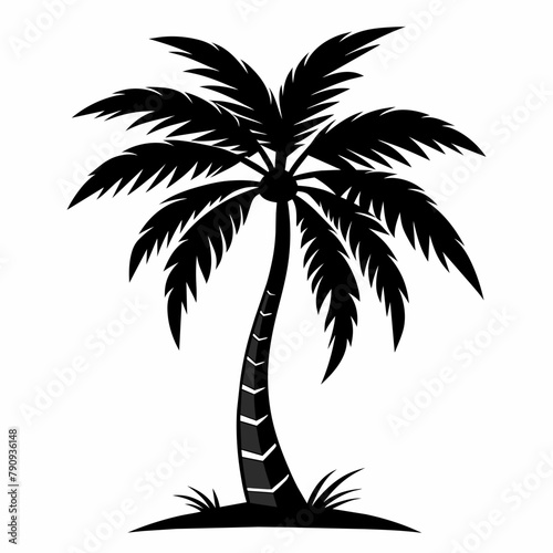 palm tree silhouette