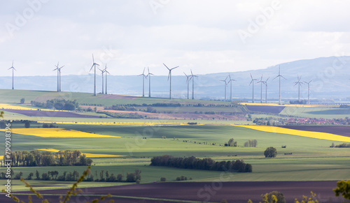 Windpark mit Rapsfelder im Frühjahr