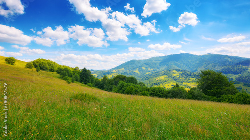 grassy meadows on the hills of ukrainian highlands. sustainable life in carpathian rural area