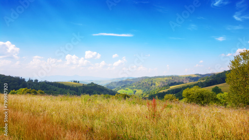 mountainous carpathian countryside scenery in summer. forested hills behid grassy alpine meadow beneath a blue sky with fluffy couds. summer vacations in highlands of ukraine © Pellinni