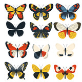 colorful butterfly collection on white background, Vector flat illustration