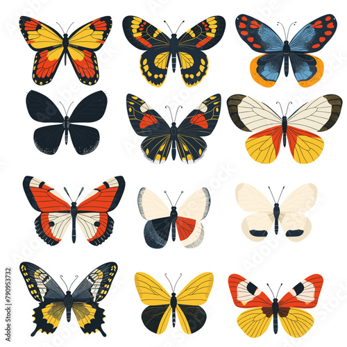 colorful butterfly collection on white background, Vector flat illustration © Creatypique