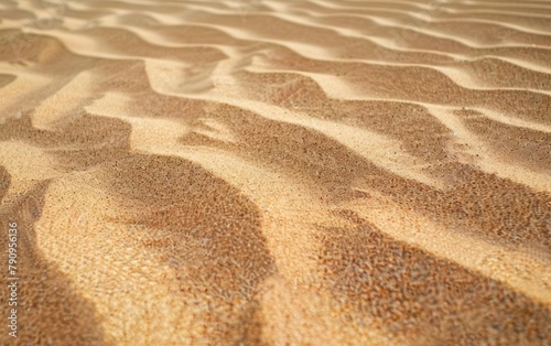 Golden Desert Sands