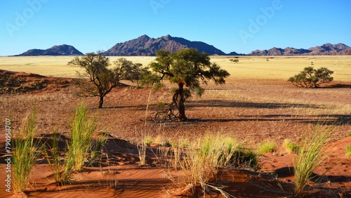 Fototapeta Naklejka Na Ścianę i Meble -  Panorama of the Naukluft Mountains as seen during the ascent to Elim Dune, a high and relatively isolated dune located 5 km past the Sesriem gate in the Namib Desert (Hardap Region, Namibia)