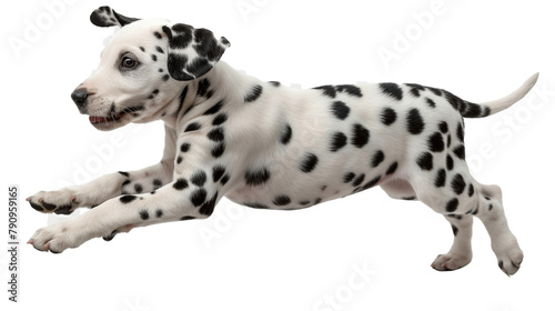 A playful Dalmatian puppy prancing in mid-air during its journey, isolated on transparent background, PNG file