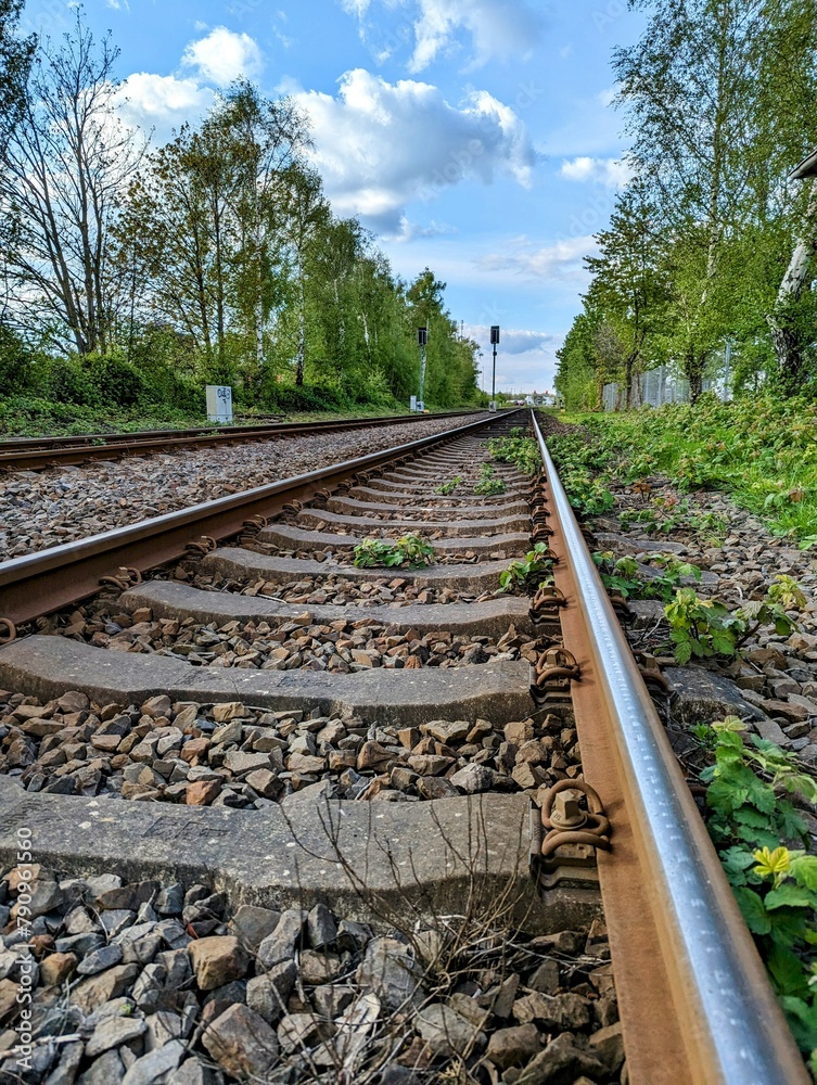 Fototapeta premium railway in the countryside