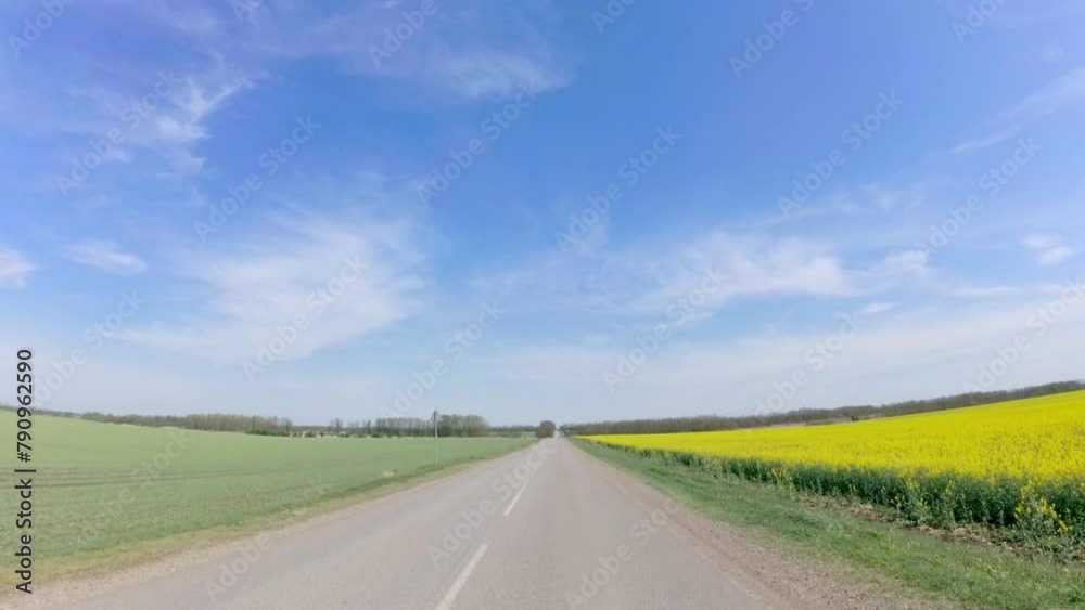 a car drives along a provincial road in the South of Russia with white center markings past a green field of wheat and a bright yellow field of blooming rapeseed on a sunny day in early spring a car drives along a provincial road in the South of Russia with white center markings past a green field of wheat and a bright yellow field of blooming rapeseed on a sunny day in early spring