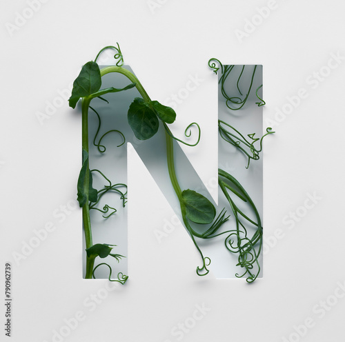 The capital letter N is decorated with a young green pea sprout on a white background. photo