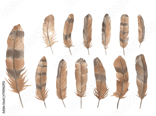 Watercolor Boho Brown Feathers, Hand drawing bird feathers on a white background. © nanyasem