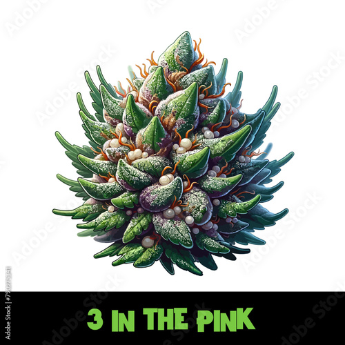 Vector Illustrated 3 in the Pink Cannabis Bud Strain Cartoon
